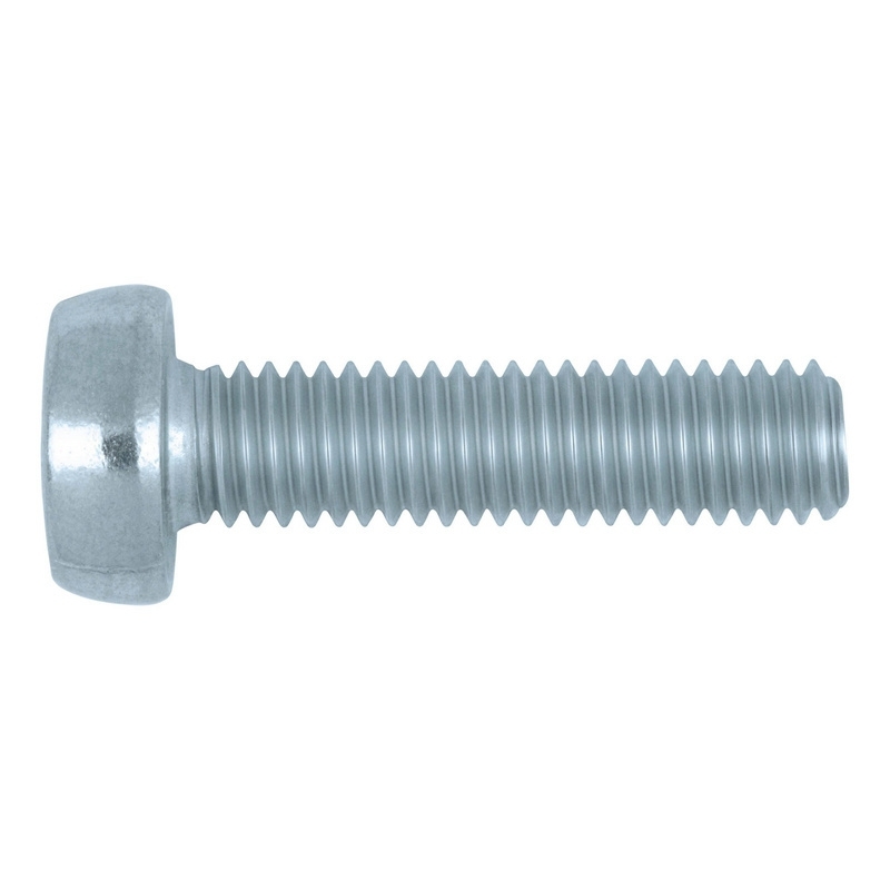 ISO 14583 VARŽTAS 6X60 TX30 4.8 CINKUOTAS