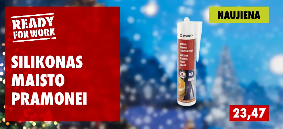 SILIKONAS MAISTO PRAMONEI