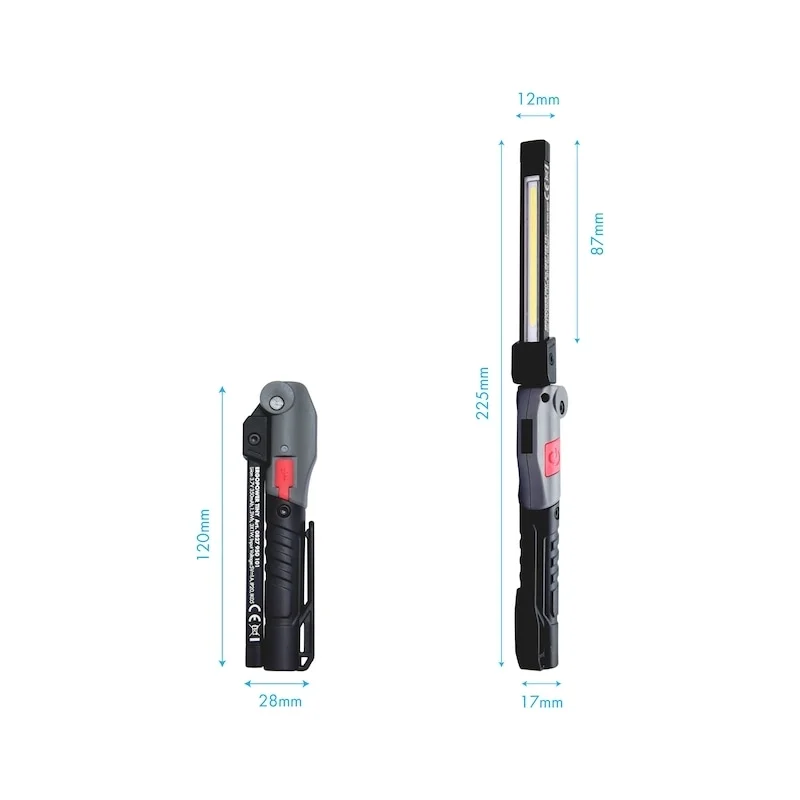 LED PROŽEKTORIUS ERGOPOWER TINY 100LM