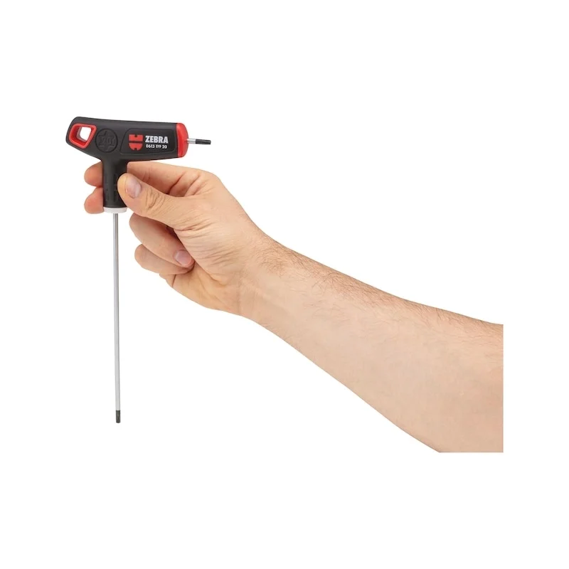 ATSUKTUVAS T FORMOS 2K TX