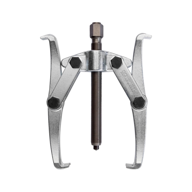 GUOLIŲ NUIMTUVAIS 2 ARBA 3 PEČIŲ