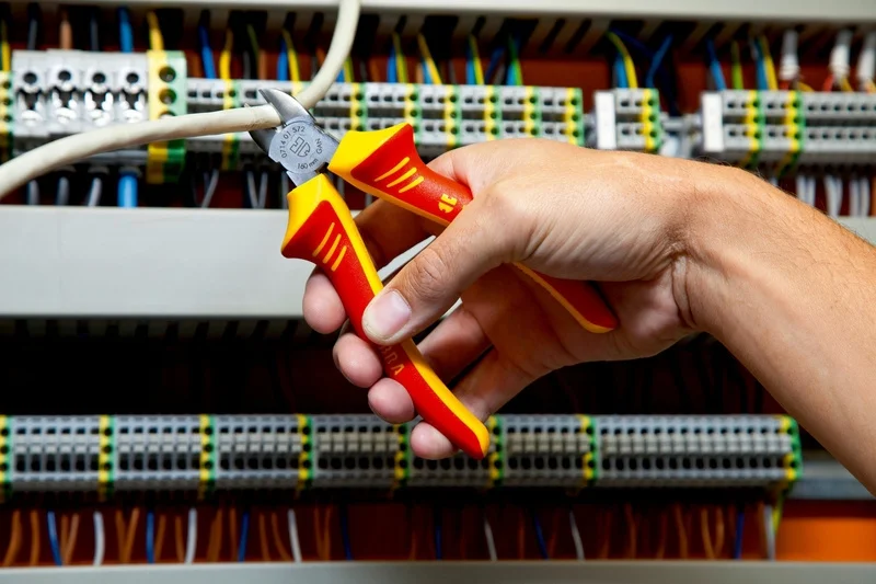 VDE ŠONINIAI KANDIKLIAI, ELEKTRIKO