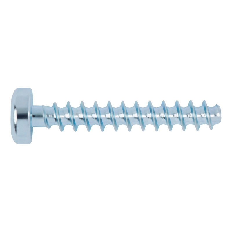 SRAIGTAS PLASTIKUI 2,5x10 TX7 CINKO DANGA