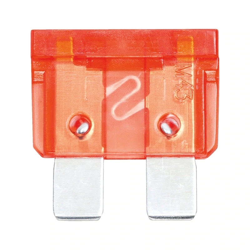 Lemputės ir saugikliai