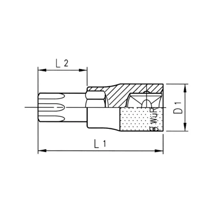 ANTGALIS 1/2 TX40