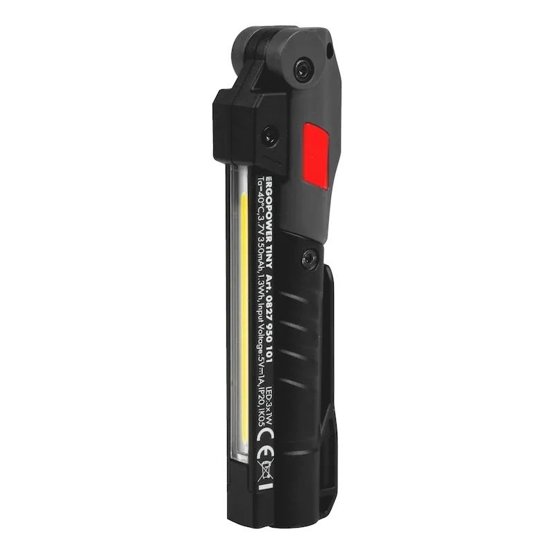 LED PROŽEKTORIUS ERGOPOWER TINY 100LM