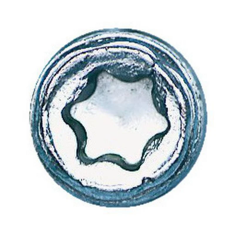 VAMZDŽIŲ LAIKIKIKLIS VARŽTAS/SMEIGĖ